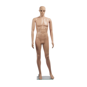 Mannequin de présentation homme
