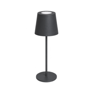 Lumière décorative LED multicolore